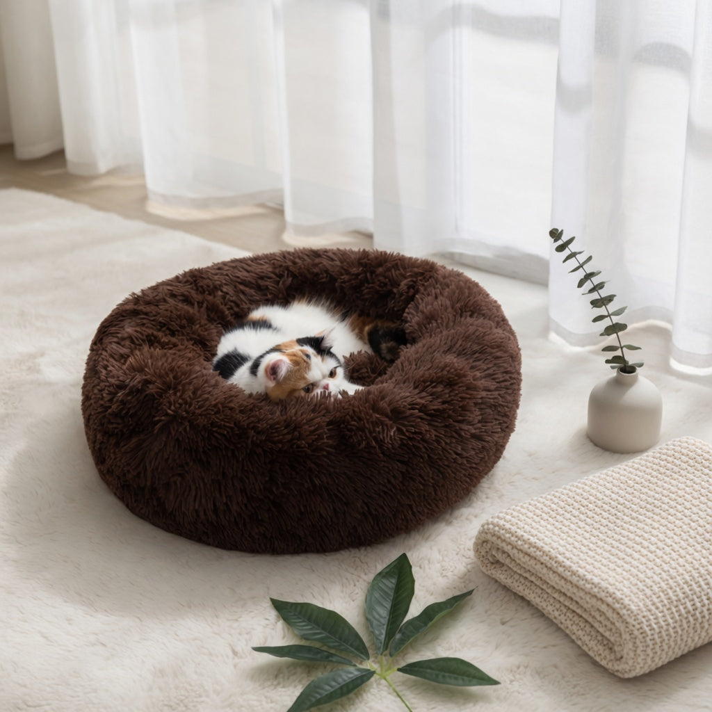 Removable, washable cover